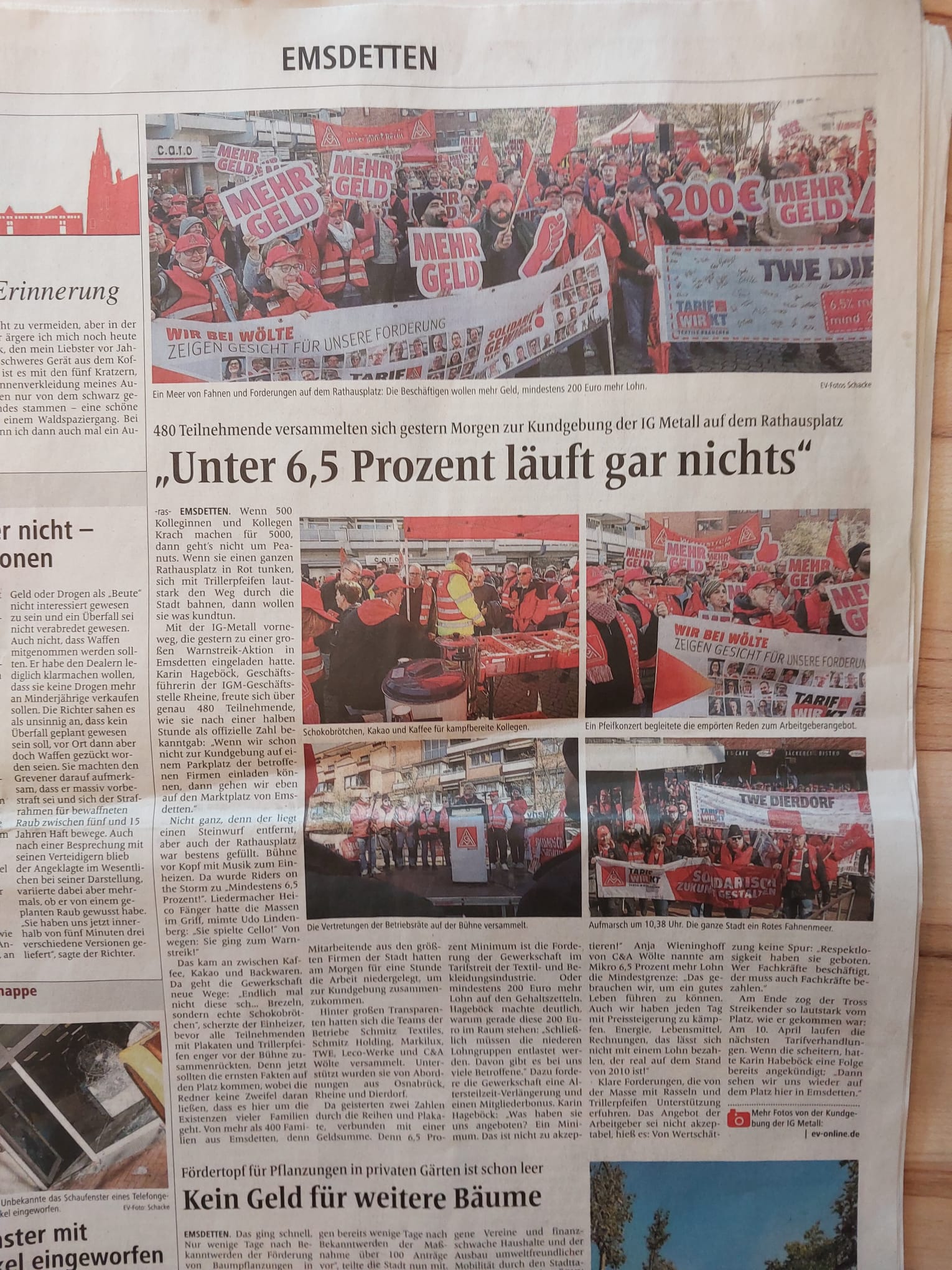 Zeitungsartikel Textil- und Bekleidung 2024/2025